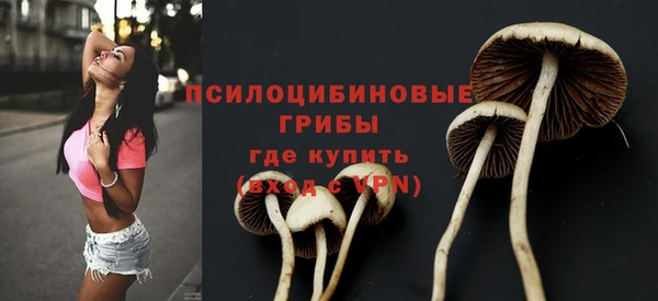 эйфоретик Абдулино