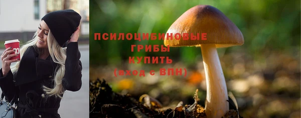 амф Абаза