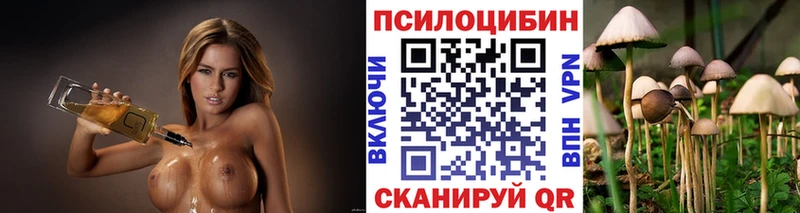 где найти   Красновишерск  Псилоцибиновые грибы мухоморы 